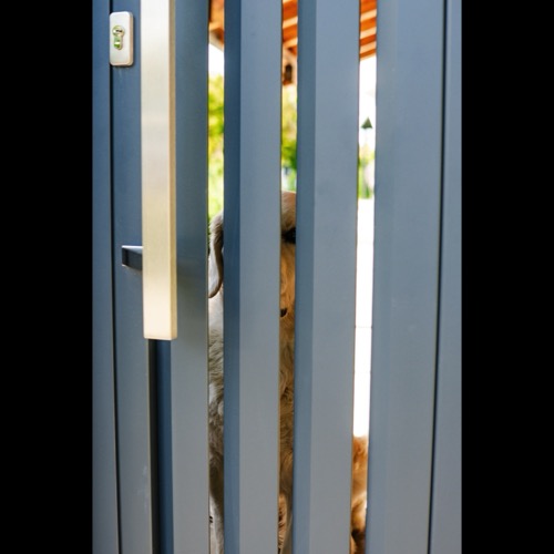 Gard aluminiu - RAL 7016